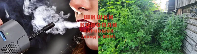 Каннабис THC 21%  что такое наркотик  Бабушкин 